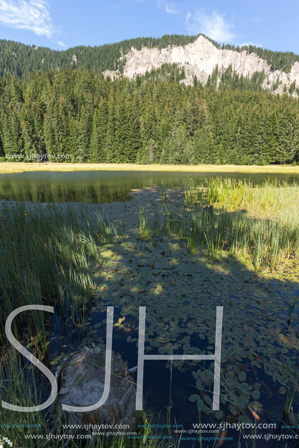 Amazing landscape of  The Grassy (Trevistoto) Smolyan lake at Rhodope Mountains, Smolyan Region, Bulgaria