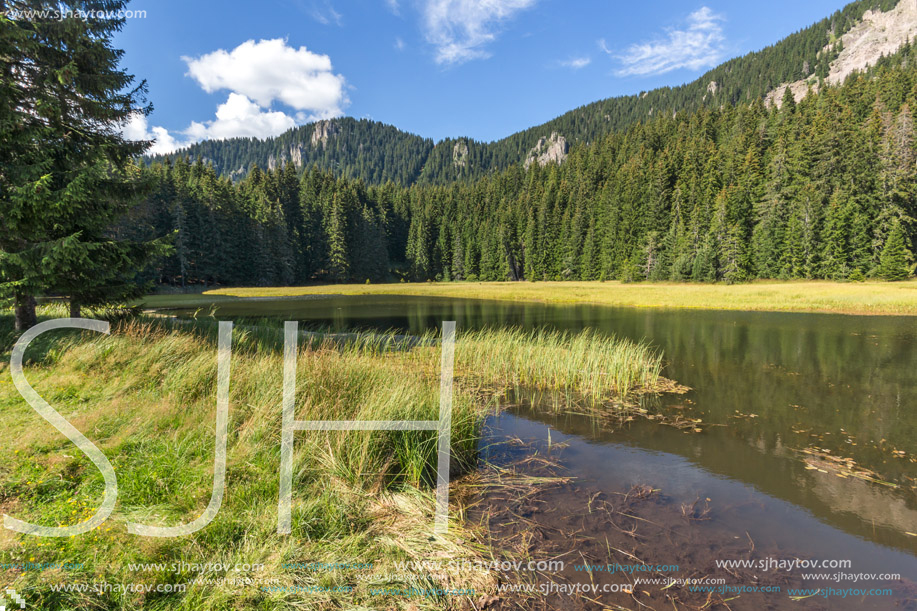 Amazing landscape of  The Grassy (Trevistoto) Smolyan lake at Rhodope Mountains, Smolyan Region, Bulgaria