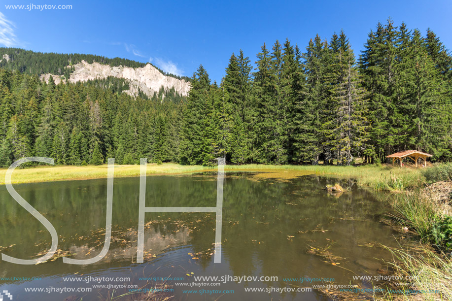 Amazing landscape of  The Grassy (Trevistoto) Smolyan lake at Rhodope Mountains, Smolyan Region, Bulgaria