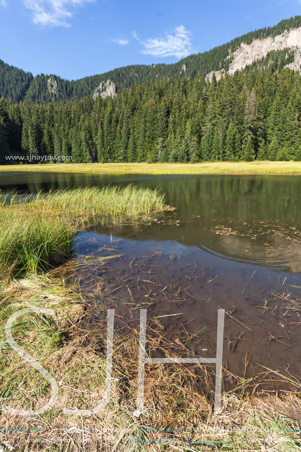 Amazing landscape of  The Grassy (Trevistoto) Smolyan lake at Rhodope Mountains, Smolyan Region, Bulgaria