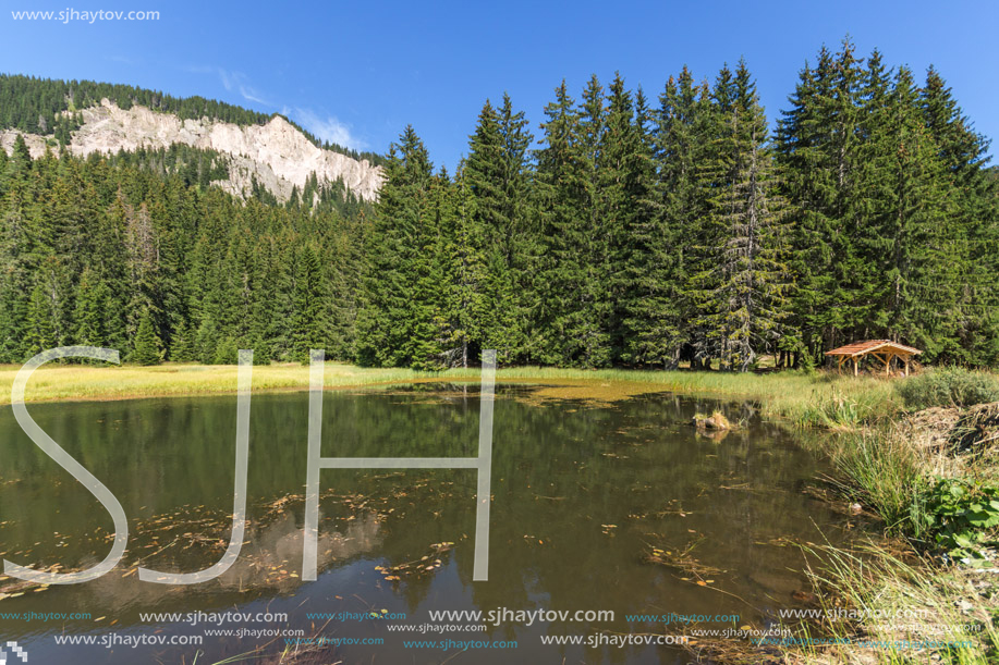 Amazing landscape of  The Grassy (Trevistoto) Smolyan lake at Rhodope Mountains, Smolyan Region, Bulgaria