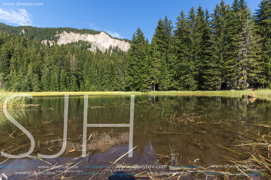 Amazing landscape of  The Grassy (Trevistoto) Smolyan lake at Rhodope Mountains, Smolyan Region, Bulgaria