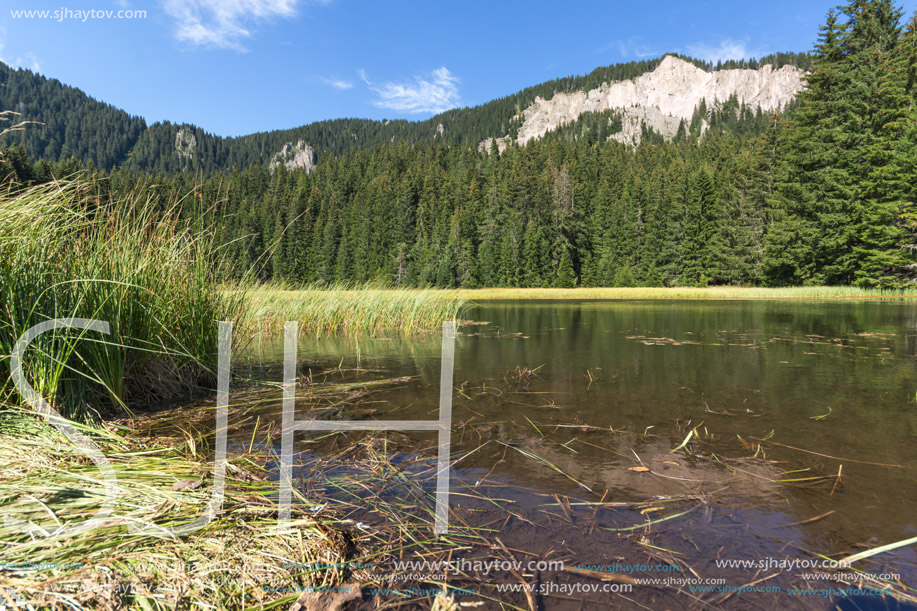 Amazing landscape of  The Grassy (Trevistoto) Smolyan lake at Rhodope Mountains, Smolyan Region, Bulgaria