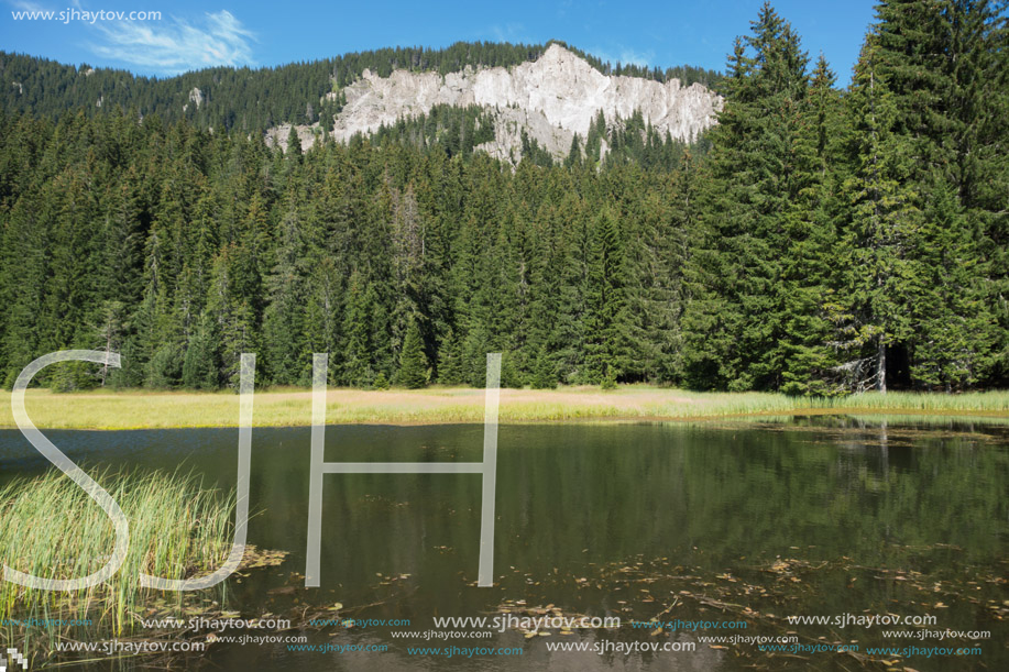 Amazing landscape of  The Grassy (Trevistoto) Smolyan lake at Rhodope Mountains, Smolyan Region, Bulgaria