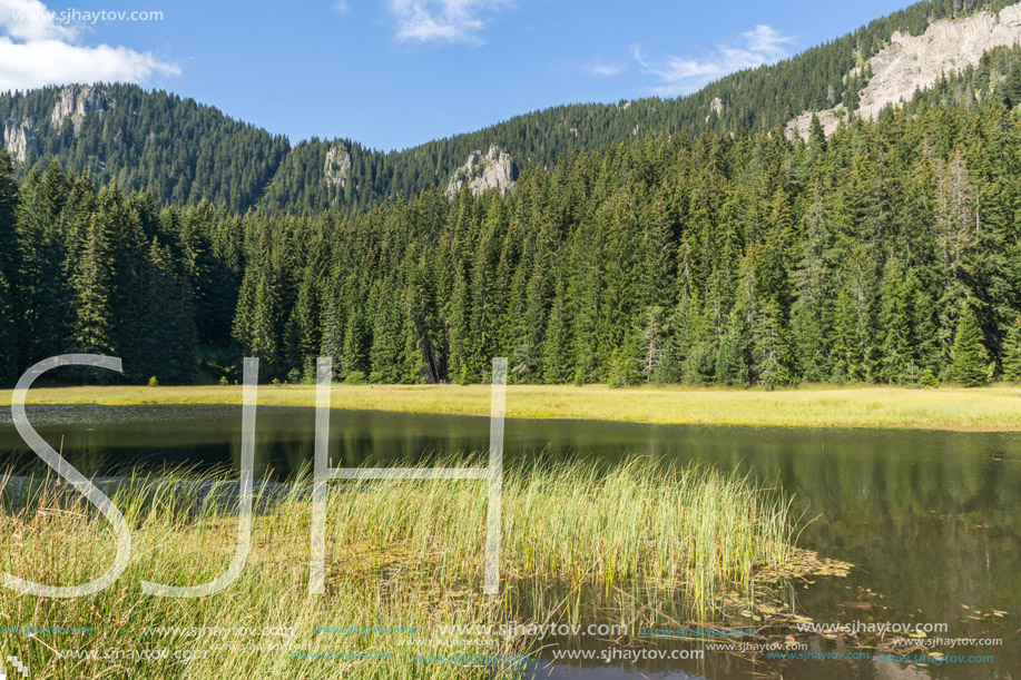 Amazing landscape of  The Grassy (Trevistoto) Smolyan lake at Rhodope Mountains, Smolyan Region, Bulgaria