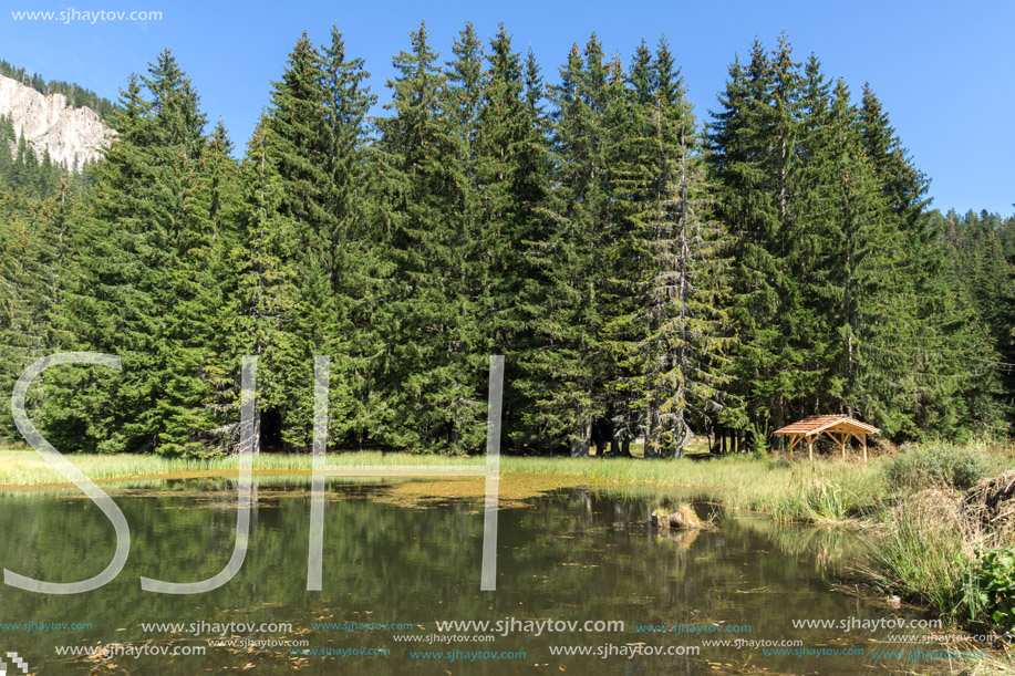 Amazing landscape of  The Grassy (Trevistoto) Smolyan lake at Rhodope Mountains, Smolyan Region, Bulgaria