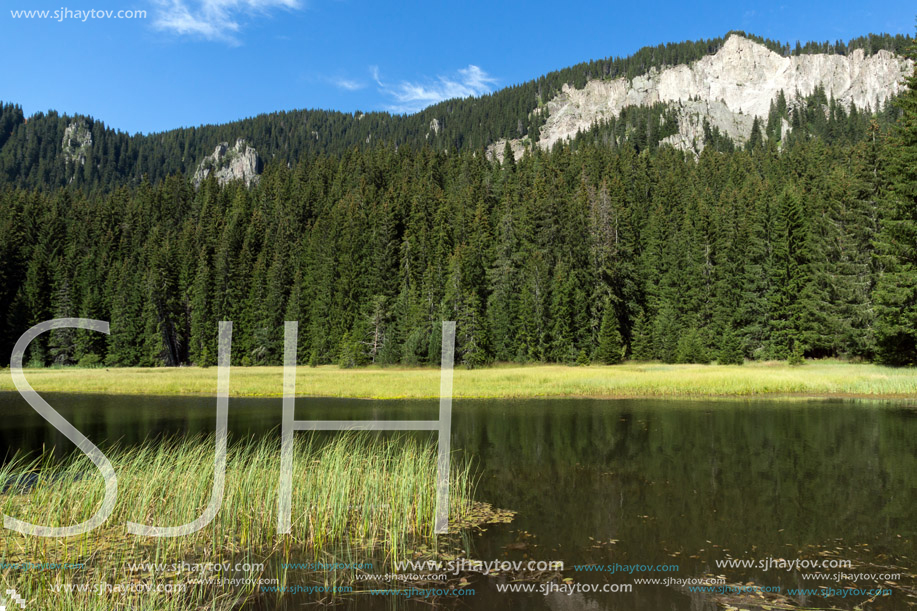 Amazing landscape of  The Grassy (Trevistoto) Smolyan lake at Rhodope Mountains, Smolyan Region, Bulgaria