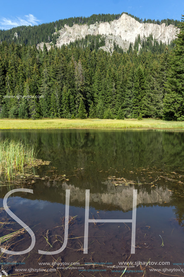 Amazing landscape of  The Grassy (Trevistoto) Smolyan lake at Rhodope Mountains, Smolyan Region, Bulgaria