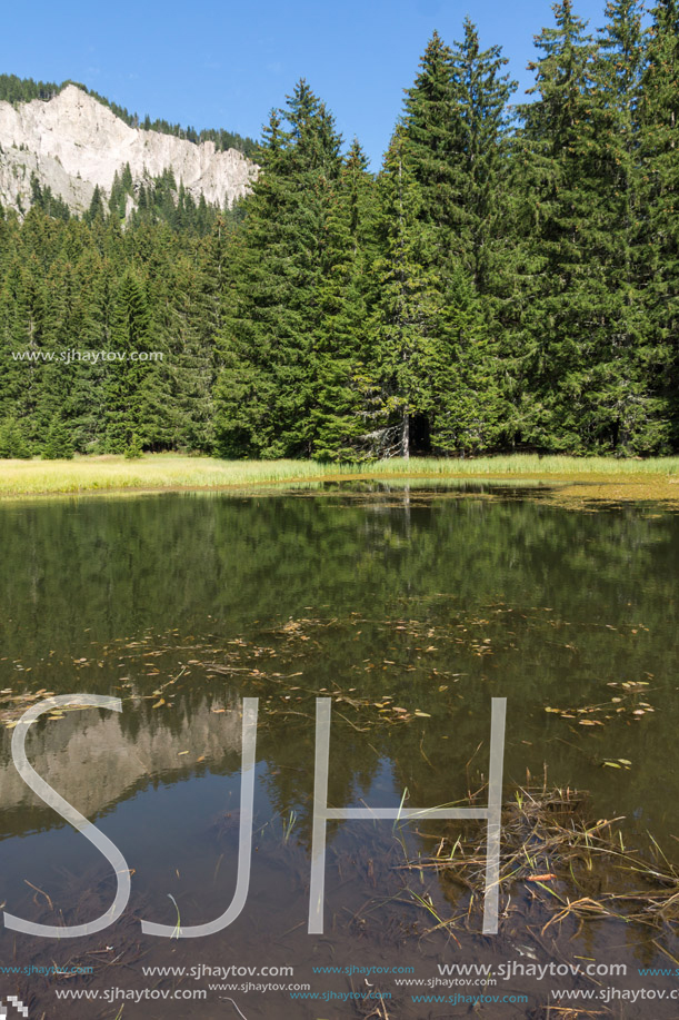 Amazing landscape of  The Grassy (Trevistoto) Smolyan lake at Rhodope Mountains, Smolyan Region, Bulgaria