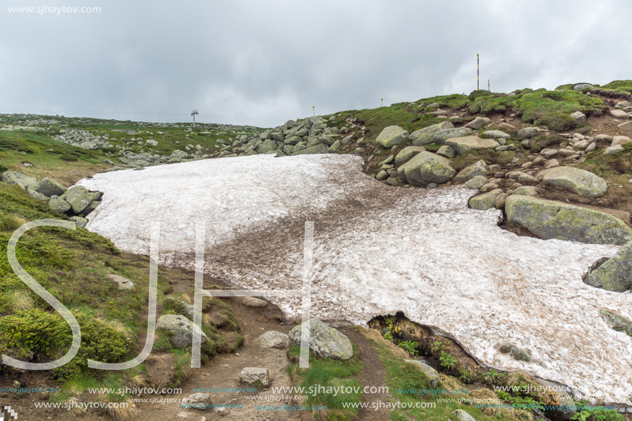 Amazing Panorama of Vitosha Mountain near Cherni Vrah Peak, Sofia City Region, Bulgaria