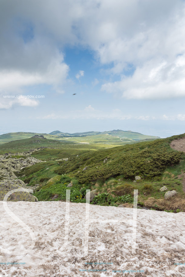 Amazing Panorama of Vitosha Mountain near Cherni Vrah Peak, Sofia City Region, Bulgaria