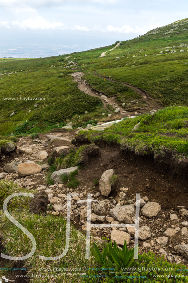 Amazing Panorama of Vitosha Mountain near Cherni Vrah Peak, Sofia City Region, Bulgaria