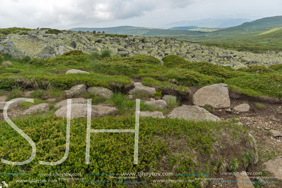 Amazing Panorama of Vitosha Mountain near Cherni Vrah Peak, Sofia City Region, Bulgaria