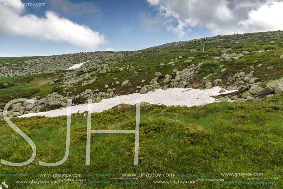 Amazing Panorama of Vitosha Mountain near Cherni Vrah Peak, Sofia City Region, Bulgaria