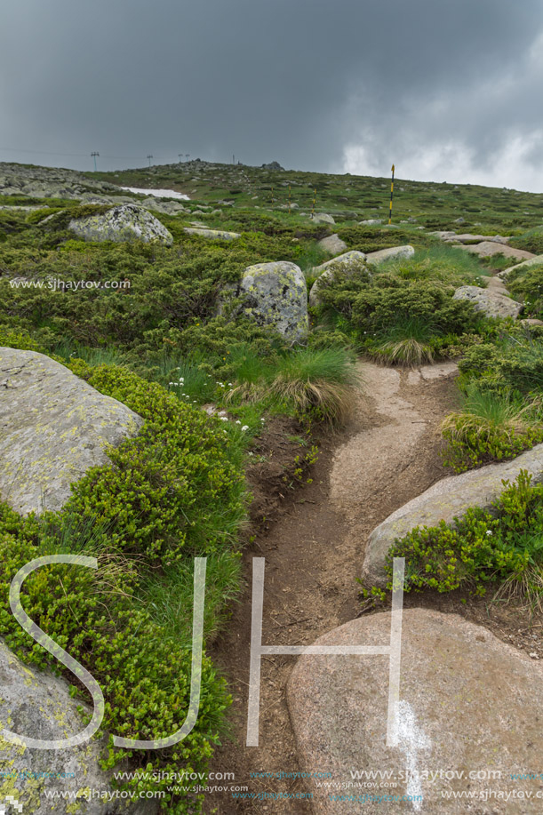 Amazing Panorama of Vitosha Mountain near Cherni Vrah Peak, Sofia City Region, Bulgaria