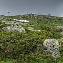 Amazing Panorama of Vitosha Mountain near Cherni Vrah Peak, Sofia City Region, Bulgaria
