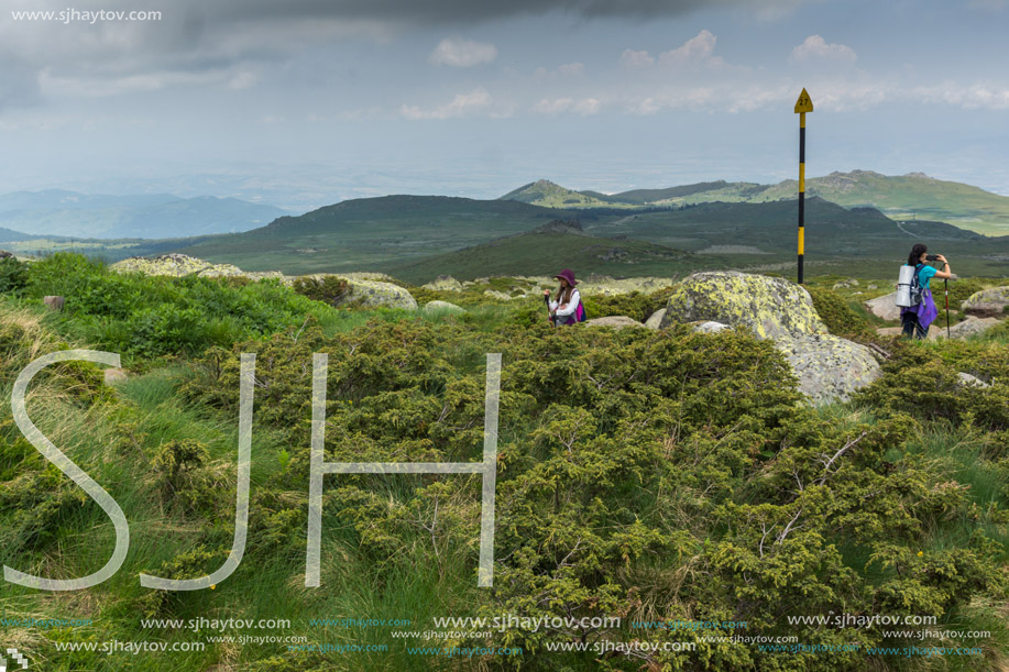 Amazing Panorama of Vitosha Mountain near Cherni Vrah Peak, Sofia City Region, Bulgaria