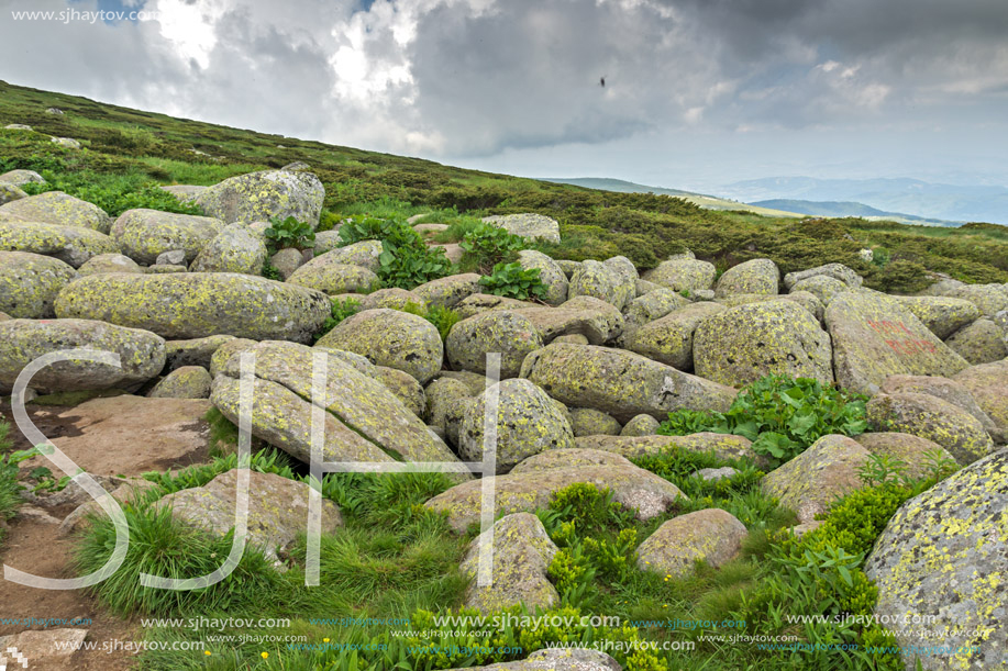 Amazing Panorama of Vitosha Mountain near Cherni Vrah Peak, Sofia City Region, Bulgaria