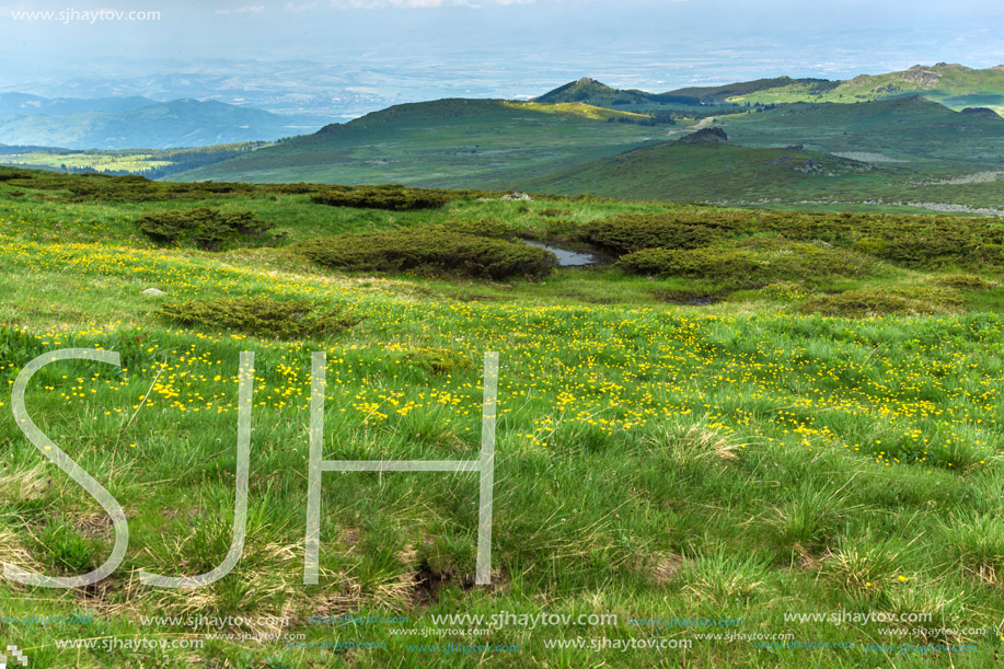 Amazing Panorama of Vitosha Mountain near Cherni Vrah Peak, Sofia City Region, Bulgaria