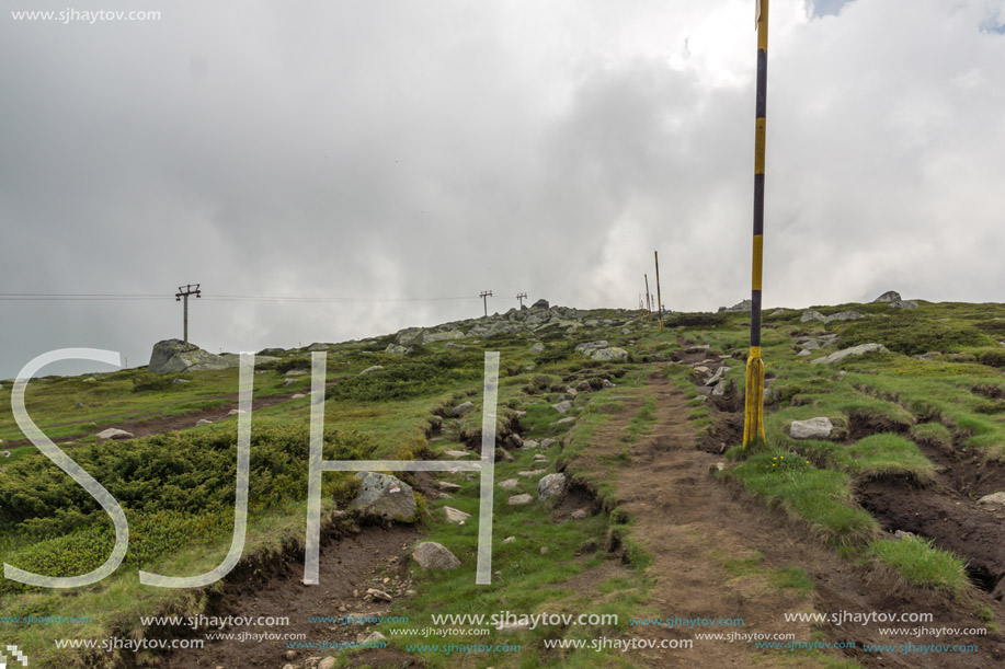 Amazing Panorama of Vitosha Mountain near Cherni Vrah Peak, Sofia City Region, Bulgaria