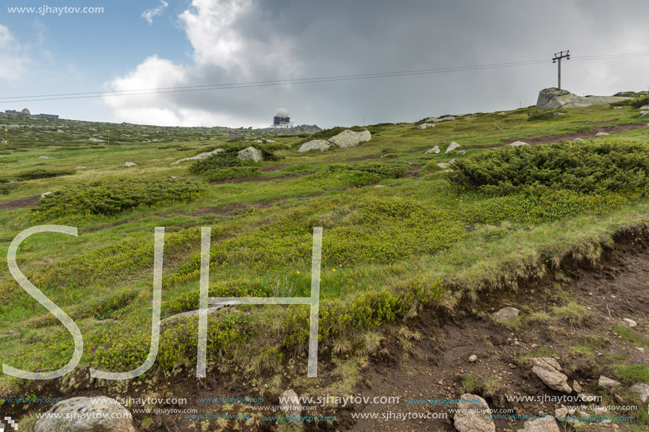 Amazing Panorama of Vitosha Mountain near Cherni Vrah Peak, Sofia City Region, Bulgaria