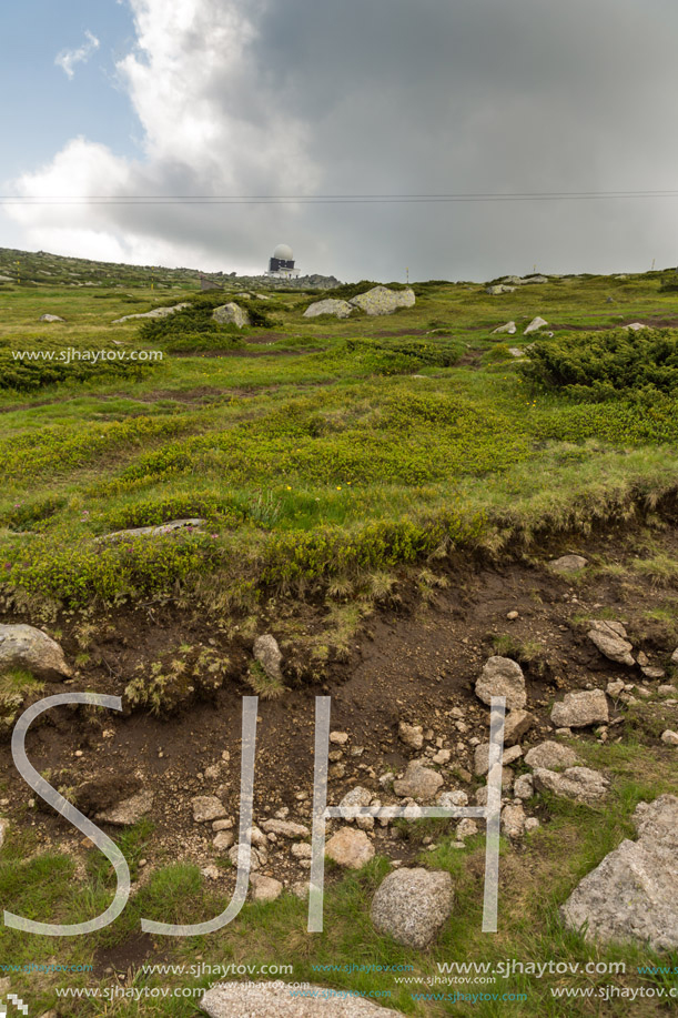 Amazing Panorama of Vitosha Mountain near Cherni Vrah Peak, Sofia City Region, Bulgaria