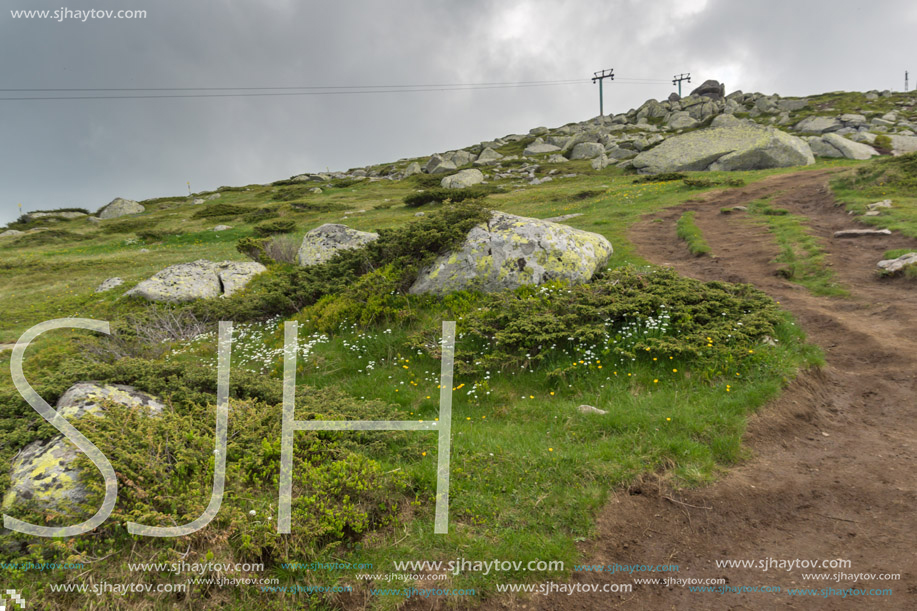 Amazing Panorama of Vitosha Mountain near Cherni Vrah Peak, Sofia City Region, Bulgaria