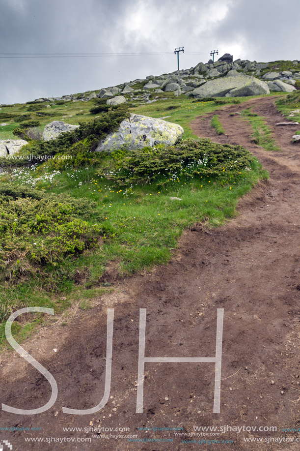 Amazing Panorama of Vitosha Mountain near Cherni Vrah Peak, Sofia City Region, Bulgaria