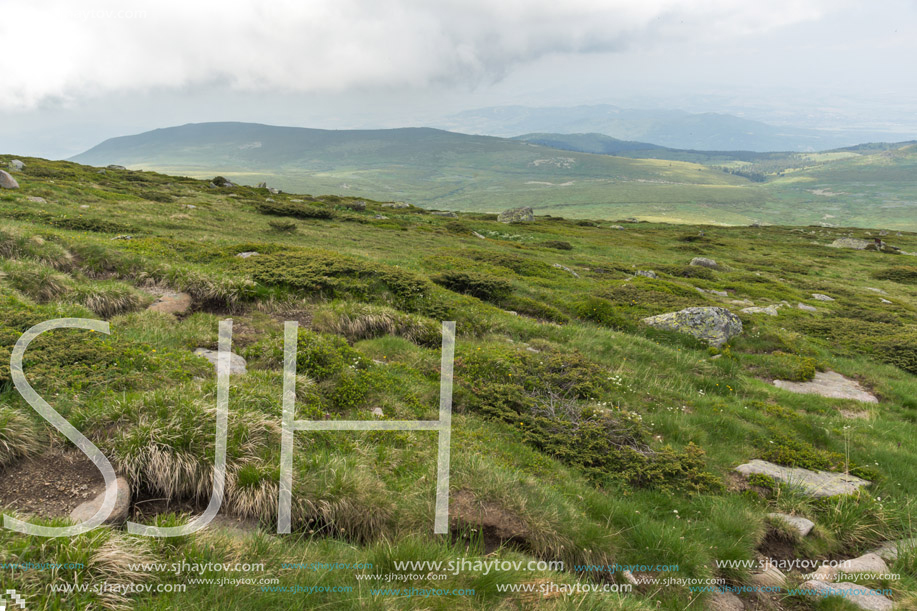 Amazing Panorama of Vitosha Mountain near Cherni Vrah Peak, Sofia City Region, Bulgaria