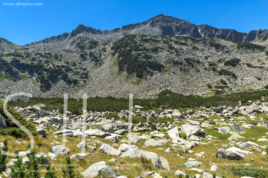 Landscape with Banderishki Chukar Peak, Pirin Mountain, Bulgaria