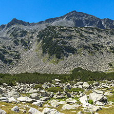 Landscape with Banderishki Chukar Peak, Pirin Mountain, Bulgaria