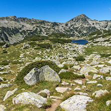 Landscape with green hills around The Frog lake, Pirin Mountain, Bulgaria