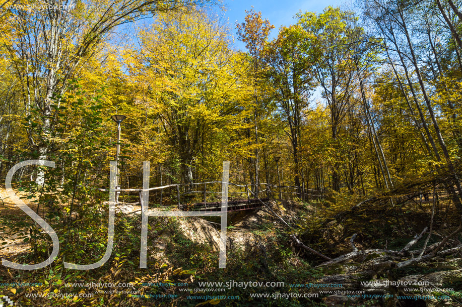 Autumn Landscape with yellow Trees near Devil town in Radan Mountain, Serbia