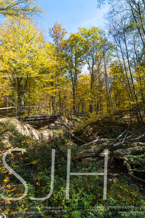 Autumn Landscape with yellow Trees near Devil town in Radan Mountain, Serbia