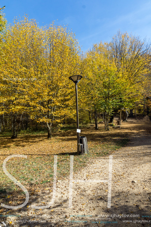 Autumn Landscape with yellow Trees near Devil town in Radan Mountain, Serbia