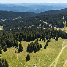 Summer landscape of Rhodope Mountains from Snezhanka tower near ski resort Pamporovo, Smolyan Region, Bulgaria