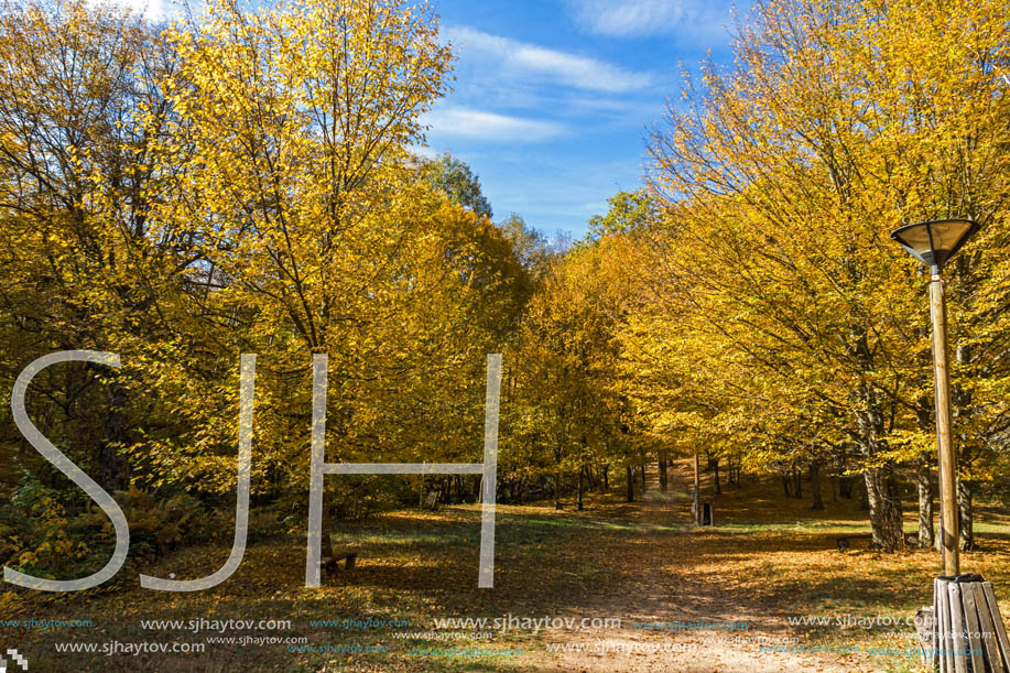 Amazing Fall Landscape with yellow Trees near Devil town in Radan Mountain, Serbia