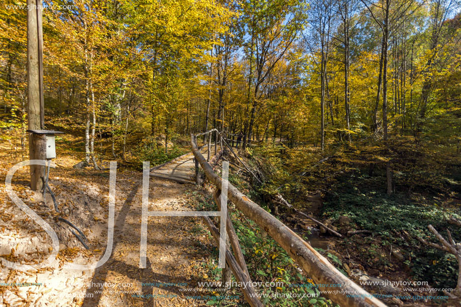 Amazing Fall Landscape with yellow Trees near Devil town in Radan Mountain, Serbia