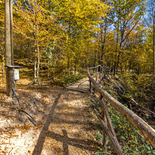 Amazing Fall Landscape with yellow Trees near Devil town in Radan Mountain, Serbia