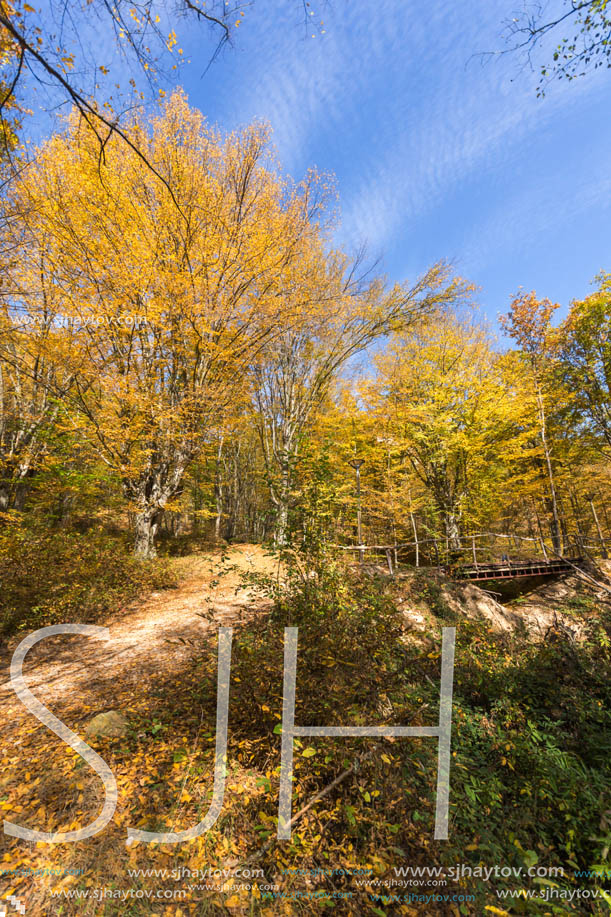 Amazing Fall Landscape with yellow Trees near Devil town in Radan Mountain, Serbia