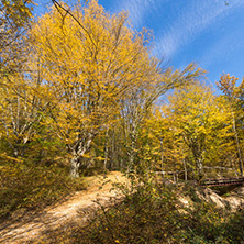 Amazing Fall Landscape with yellow Trees near Devil town in Radan Mountain, Serbia