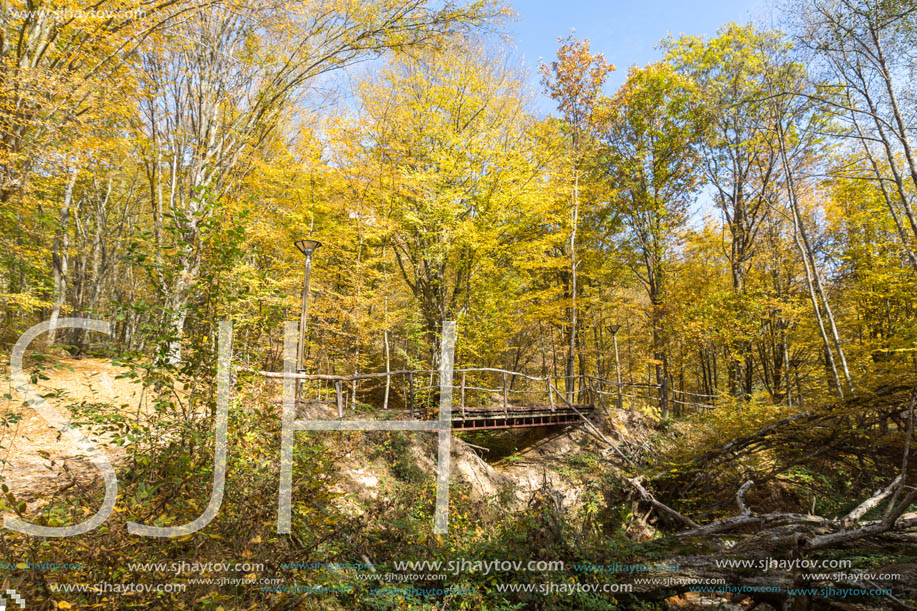 Amazing Fall Landscape with yellow Trees near Devil town in Radan Mountain, Serbia