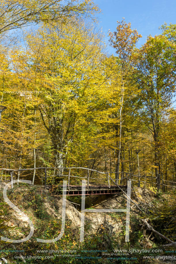 Amazing Fall Landscape with yellow Trees near Devil town in Radan Mountain, Serbia