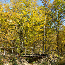 Amazing Fall Landscape with yellow Trees near Devil town in Radan Mountain, Serbia