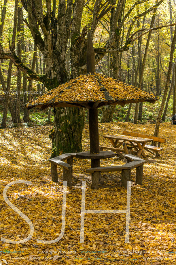 Amazing Fall Landscape with yellow Trees near Devil town in Radan Mountain, Serbia