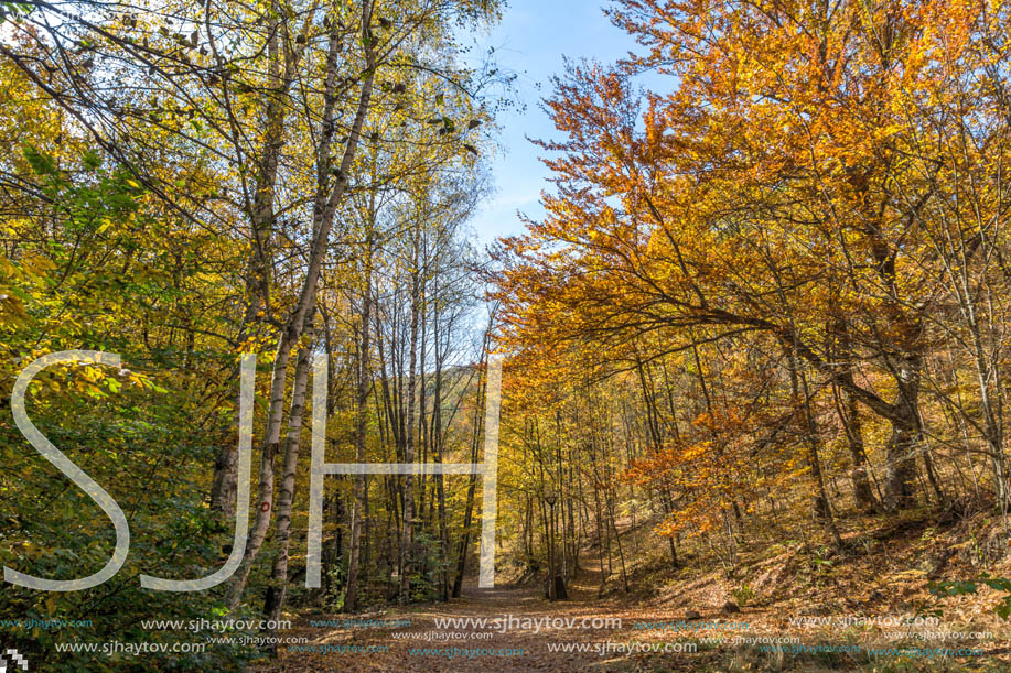 Amazing Fall Landscape with yellow Trees near Devil town in Radan Mountain, Serbia