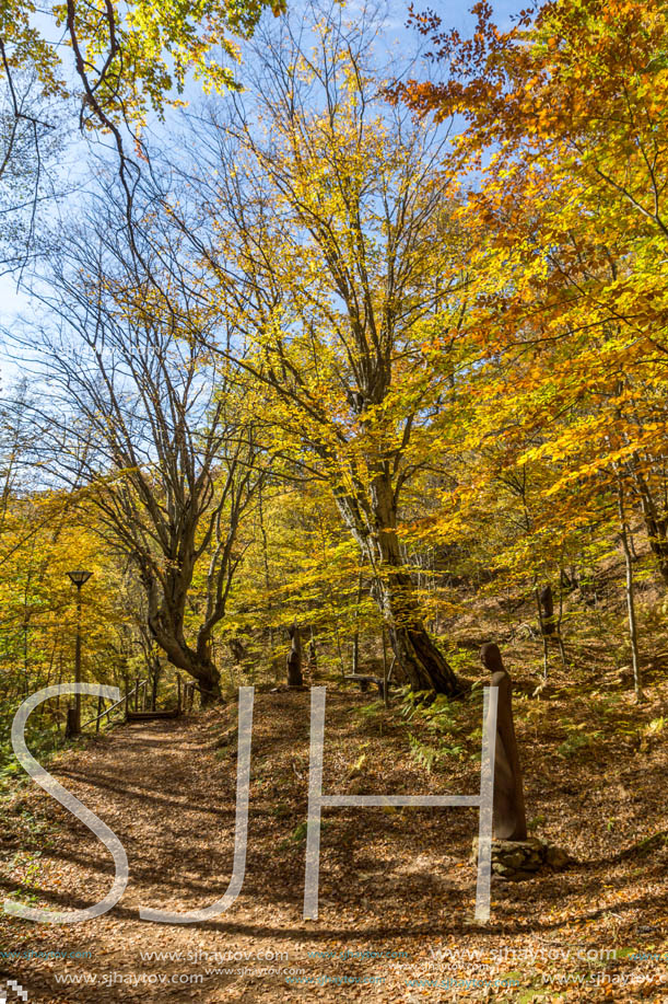 Amazing Fall Landscape with yellow Trees near Devil town in Radan Mountain, Serbia