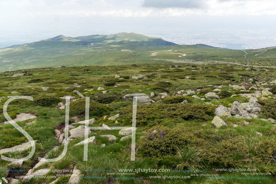 Landscape of Vitosha Mountain near Cherni Vrah Peak, Sofia City Region, Bulgaria