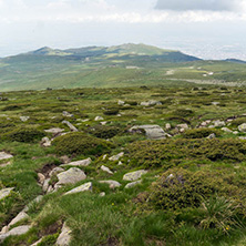 Landscape of Vitosha Mountain near Cherni Vrah Peak, Sofia City Region, Bulgaria