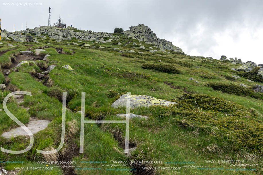 Landscape of Vitosha Mountain near Cherni Vrah Peak, Sofia City Region, Bulgaria